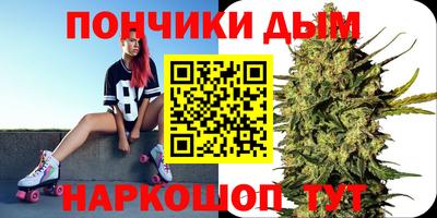 трава Кандалакша