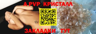 стаф Камышлов