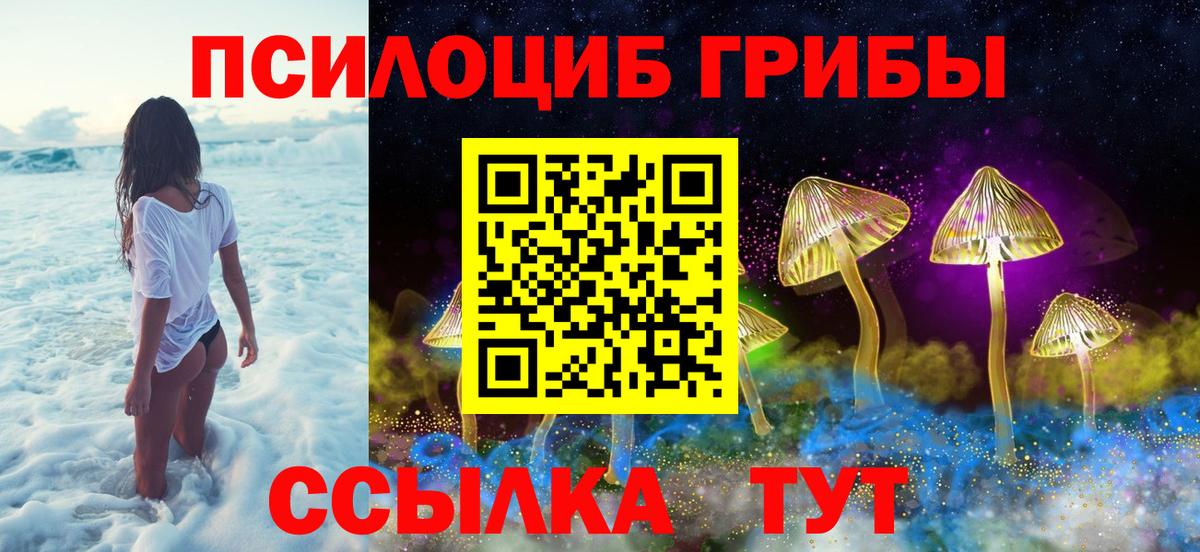 Волоколамск  Псилоцибиновые грибы Psilocybe  Вход с VPN 